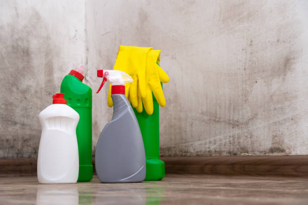 Best Mold Odor Removal Services  in Arlington, NE